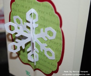 3D Snow Flake Side