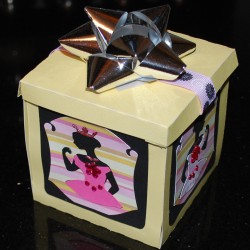 Birthday Princess Box2