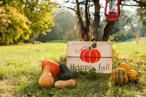 decor outdoors with pumpkins and details