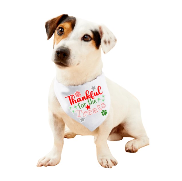 Thankful for the Treats – D-1232357