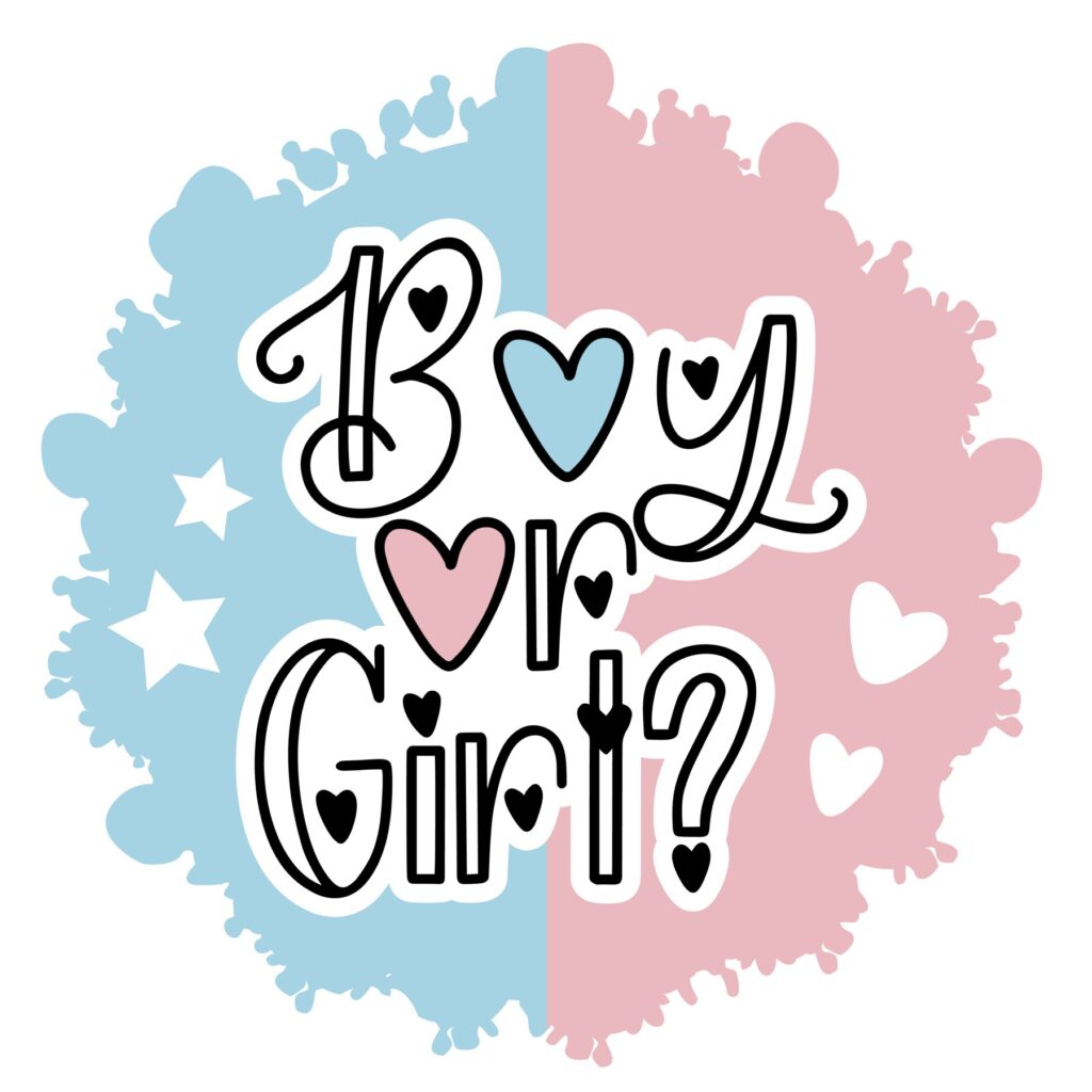Boy or Girl Gender Reveal Sign – D-1319183