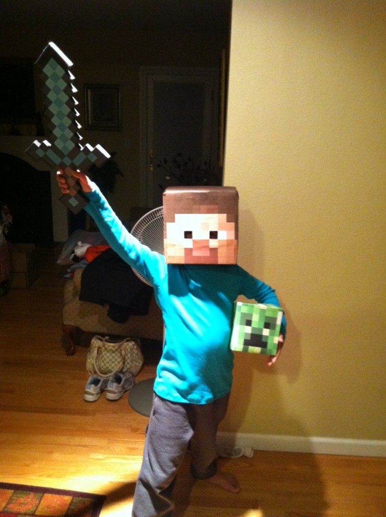Minecraft – Steve and Creeper