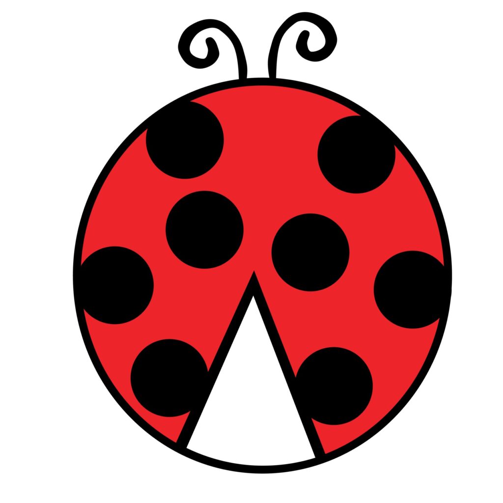Colored Ladybug – D-1326660